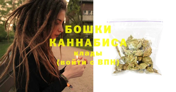 хмурый Белокуриха