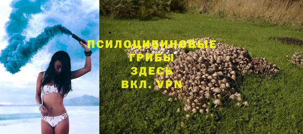 метамфетамин Богданович