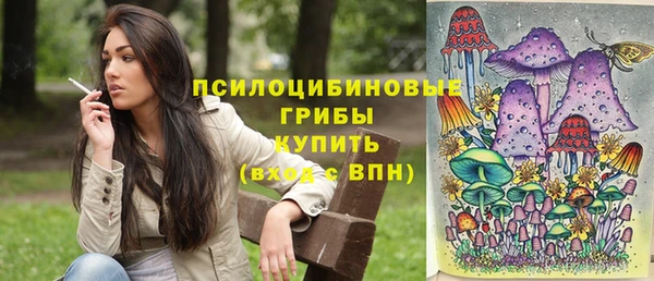 хмурый Белокуриха
