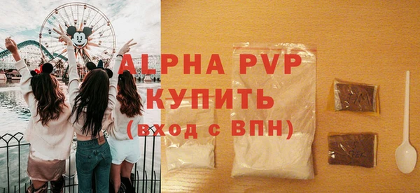 молекула духа Бородино