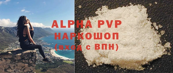 хмурый Белокуриха