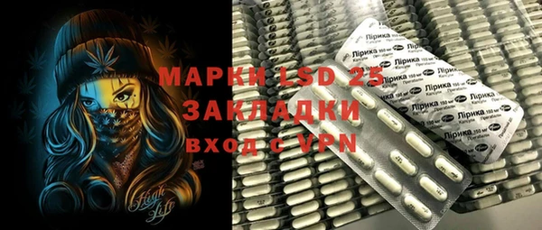 хмурый Белокуриха