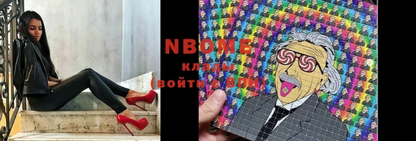 хмурый Белокуриха
